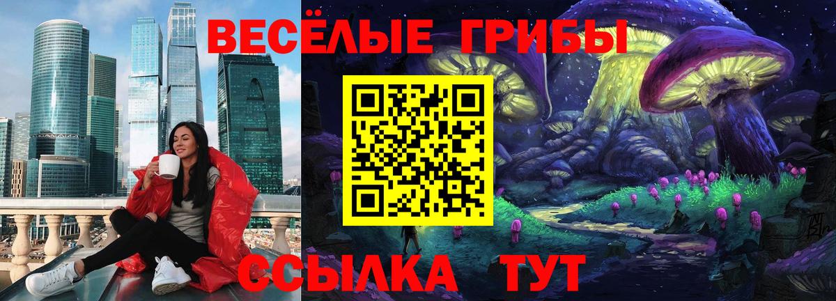 Воскресенск  Галлюциногенные грибы MAGIC MUSHROOMS  хочу   Вход с VPN 